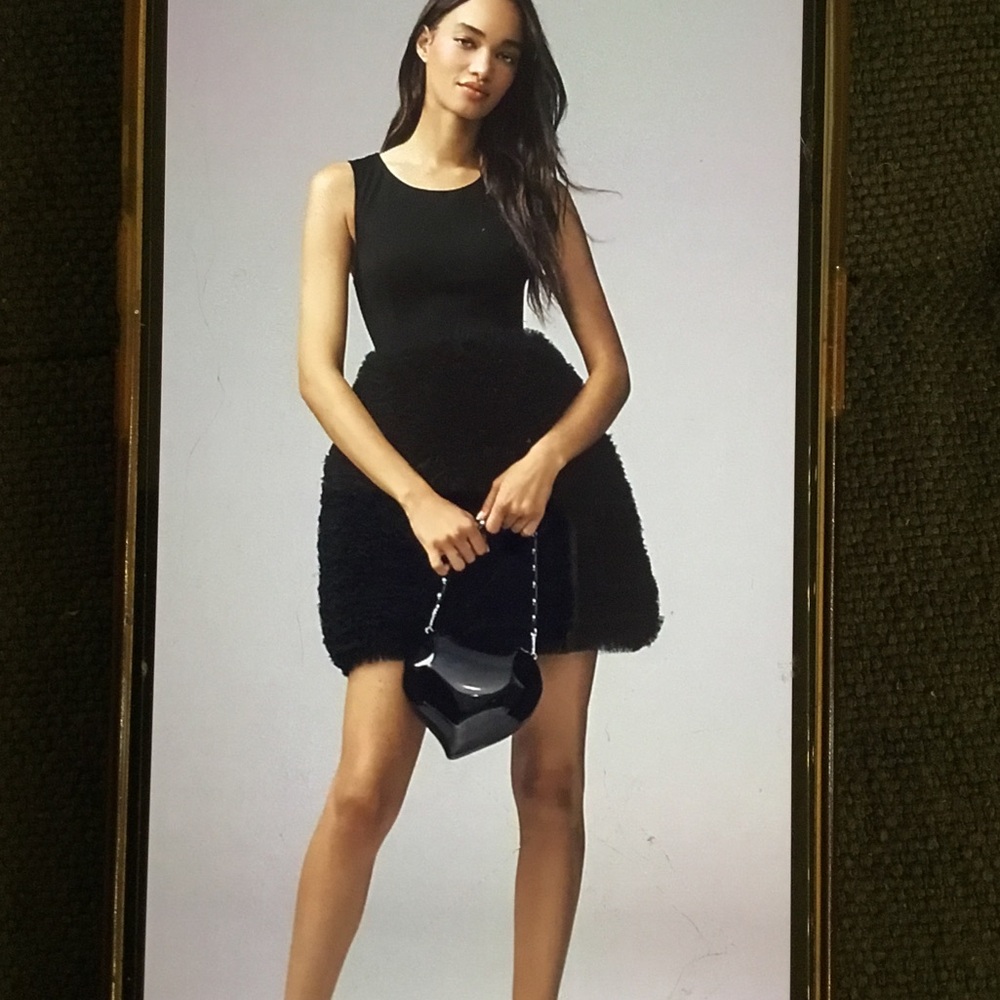 Anthropologie Hutch Twofer Satin Tulle Dress